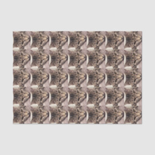 Tabby Cat-Instagram by Shirley Taylor Tissue Paper
