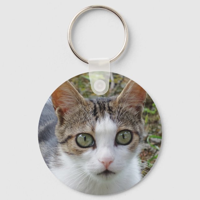 Tabby Cat Key Chain (Front)