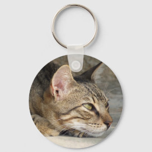 Tabby Cat Keychain