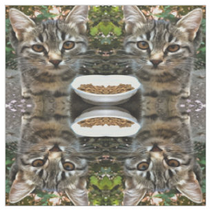 Tabby Cat Kitten Making Eye Contact Fabric