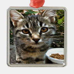Tabby Cat Kitten Making Eye Contact Metal Tree Decoration