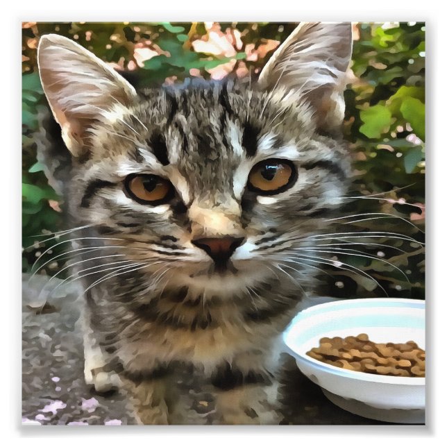 Tabby Cat Kitten Making Eye Contact Photo Print (Front)