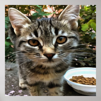 Tabby Cat Kitten Making Eye Contact Poster