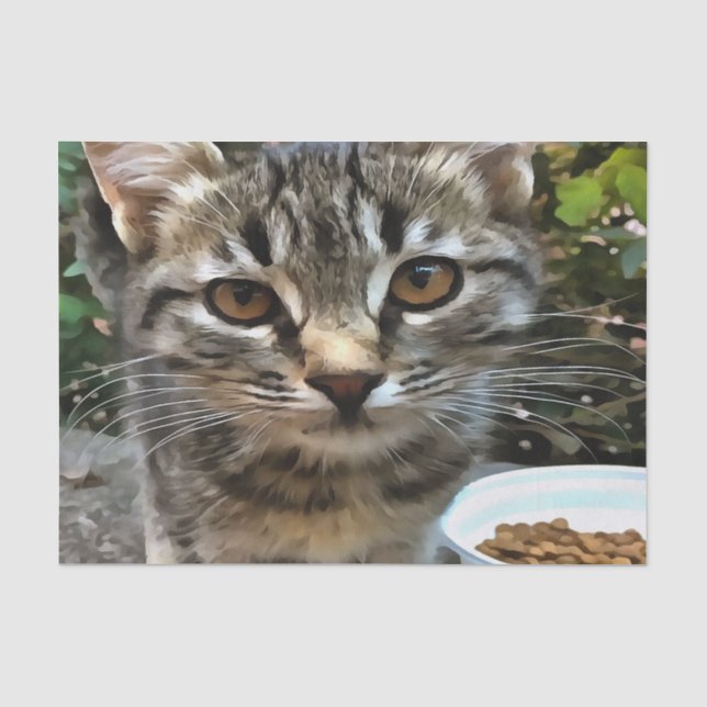 Tabby Cat Kitten Making Eye Contact Tissue Paper (Front)