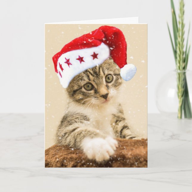 TABBY CAT KITTEN MEOWY CHRISTMAS CARD (Front)