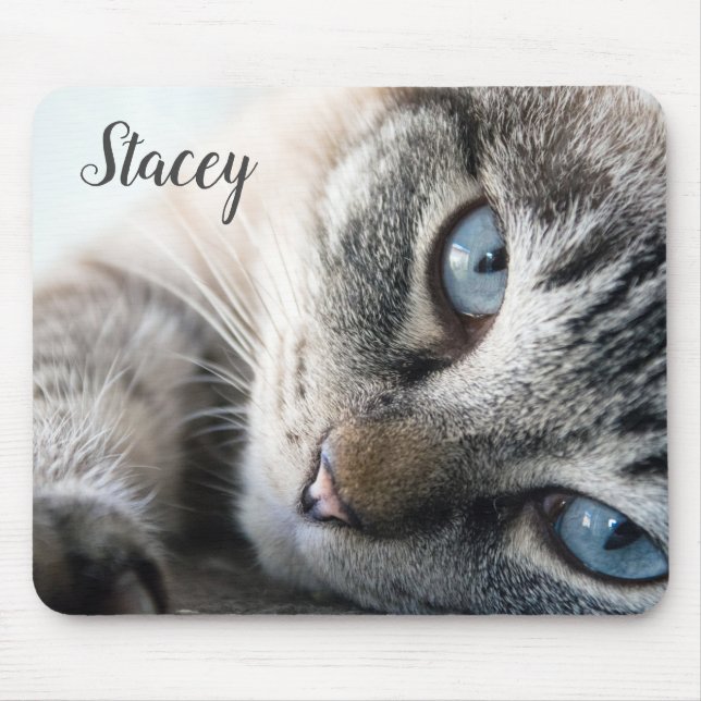 Tabby Cat Kitten Mouse Pad (Front)