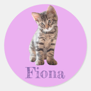 Tabby Cat Kitten Personalised Lavender Classic Round Sticker