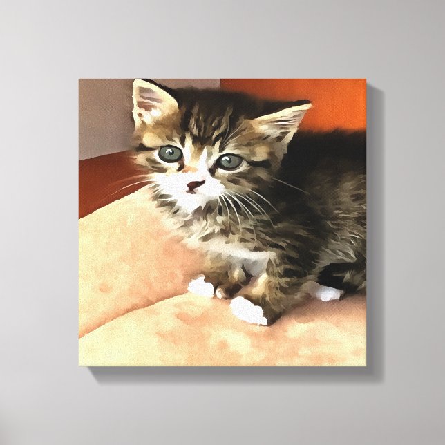 Tabby Cat Kitten Pet Portrait Canvas Print (Front)