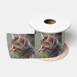 Tabby cat kitten portrait 3" satin ribbon