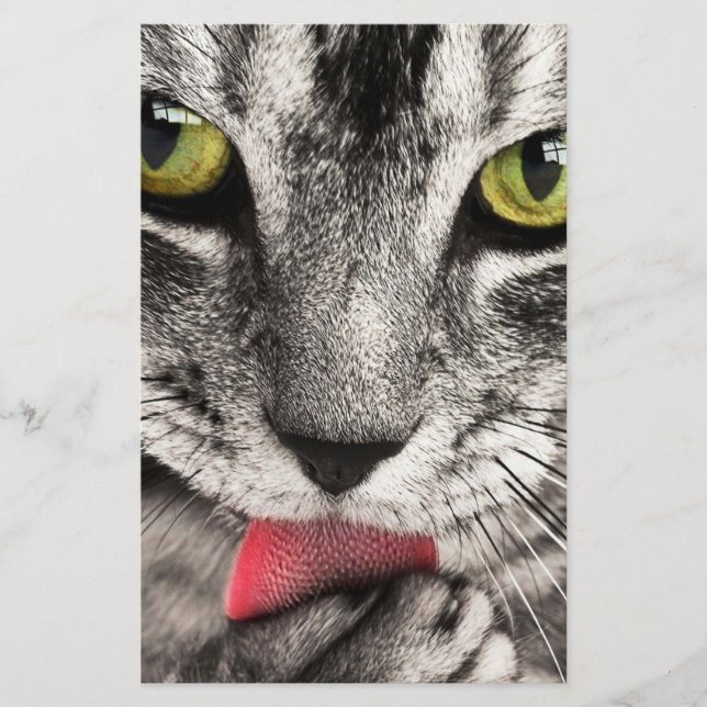 Tabby Cat Licking Paw Stationery (Front)