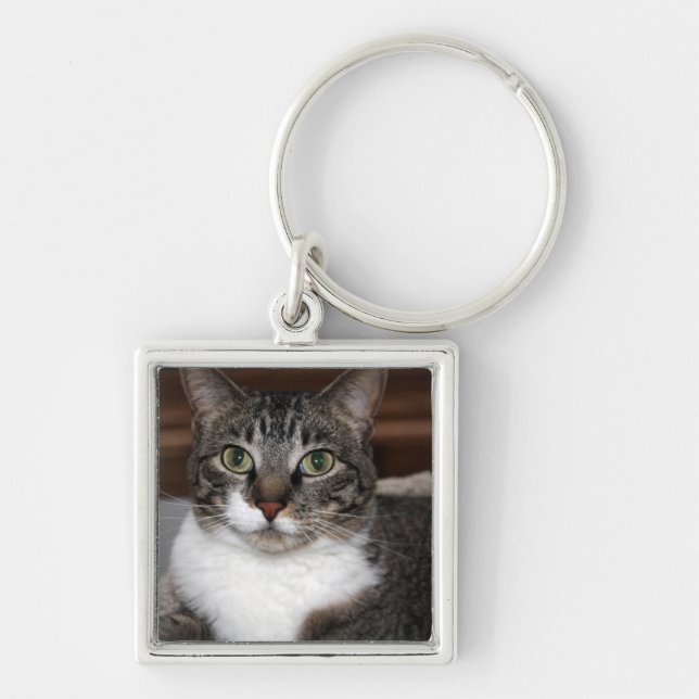 Tabby Cat Looking at You - Discontinued by Me Key Ring (Front)