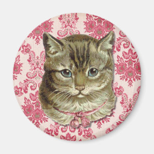 Tabby cat magnet