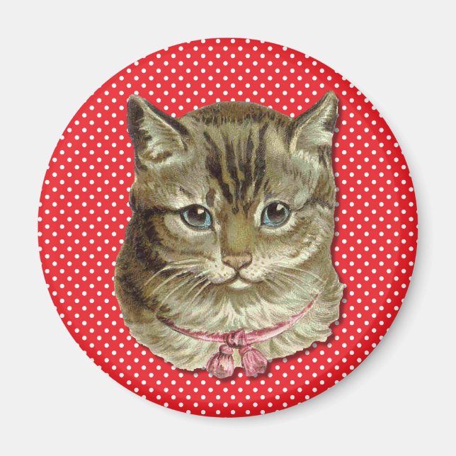Tabby cat magnet (Front)
