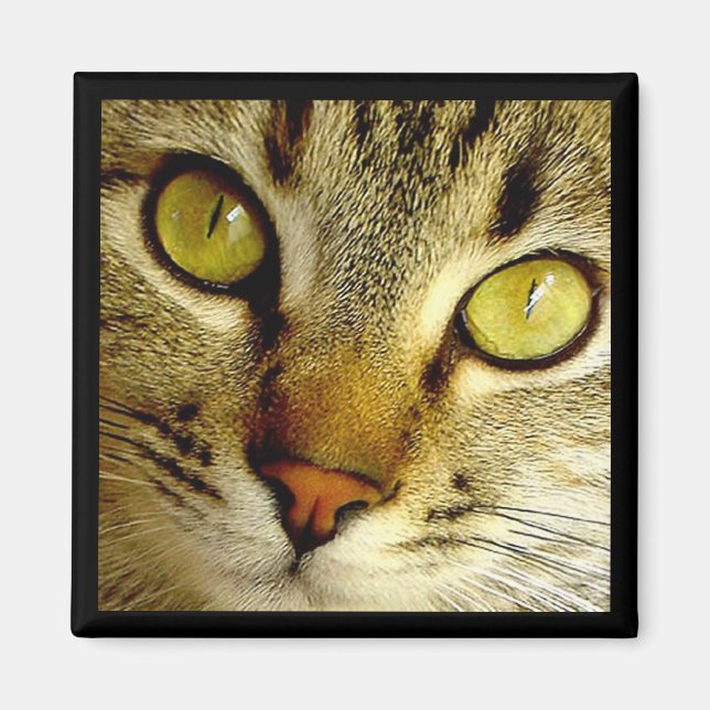 Tabby Cat - Magnet (Front)