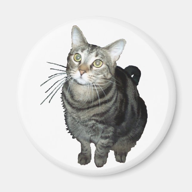 Tabby cat magnet (Front)