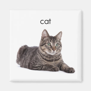 Tabby Cat Magnet