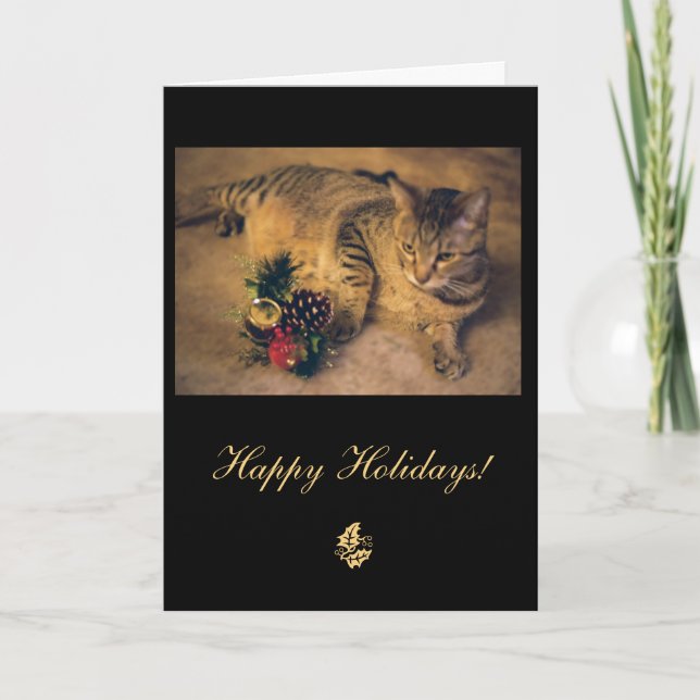 Tabby cat: Merry Christmas! Holiday Card (Front)