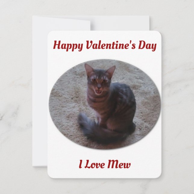 Tabby Cat Mewing Photo I Love Mew Valentines Holiday Card (Front)