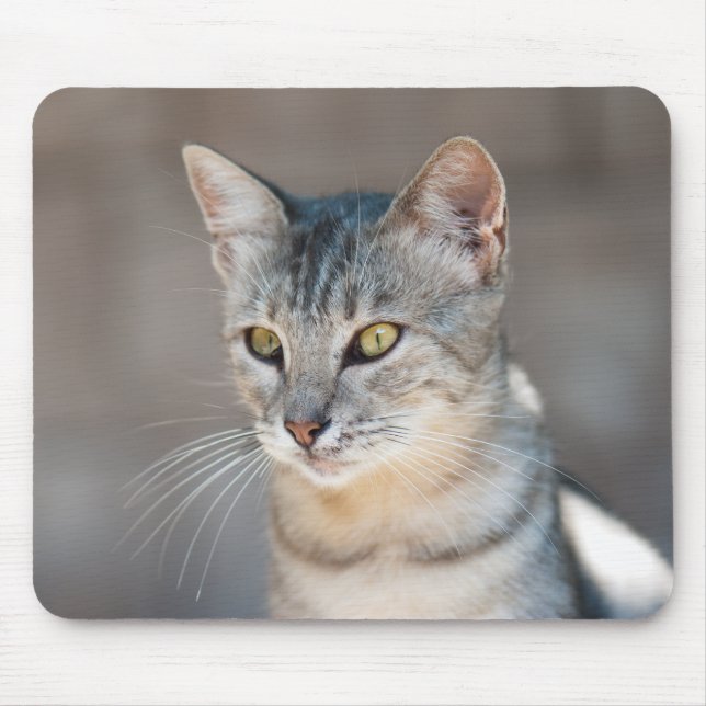 Tabby cat mouse pad (Front)