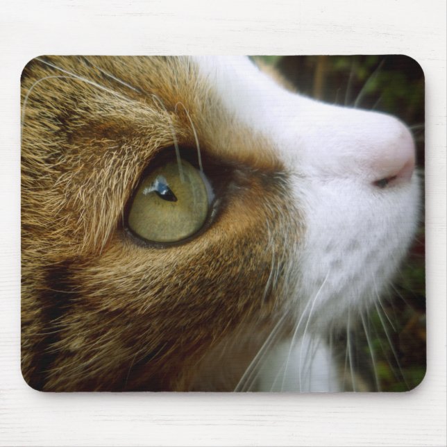 Tabby Cat Mousepad (Front)