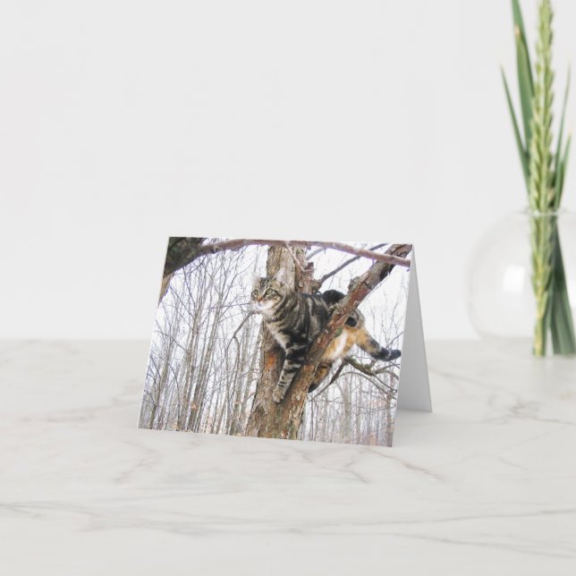 Tabby Cat Note Card (Front)