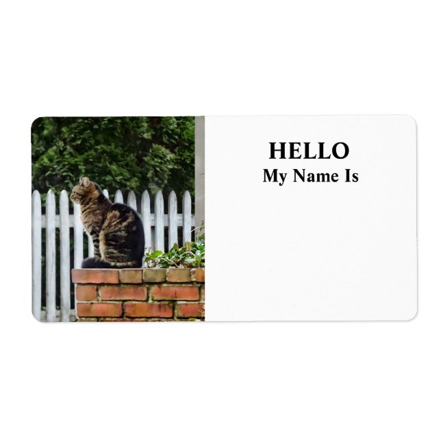 Tabby Cat on Brick Wall (Front)