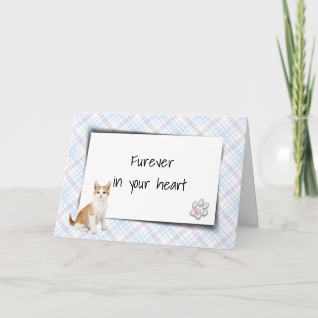 Tabby Cat On Plaid Pet Loss Sympathy Card (Front)