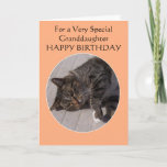 Tabby Cat Personalised Granddaughter Birthday Card<br><div class="desc">Greeting card tabby cat granddaughter birthday card. Customise this birthday card with any text then have it printed and sent to you or instantly download it to your mobile device. Should you require any help with customising then contact us through the link on this page. Cat personalised granddaughter birthday card...</div>