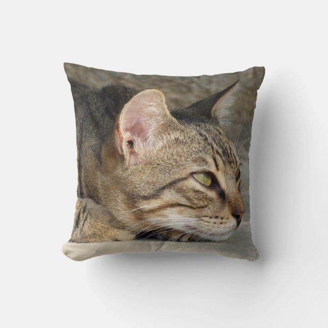 Tabby Cat Pillow (Front)