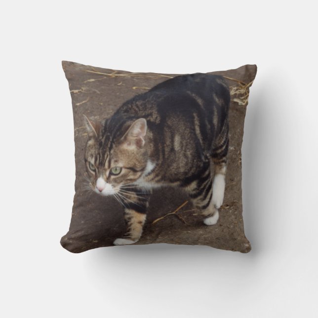 tabby cat pillow (Front)