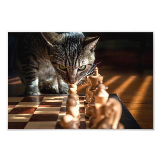 Tabby Cat Playing Chess Photo Print (Front)