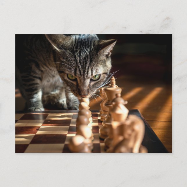 Tabby Cat Playing Chess Postcard (Front)