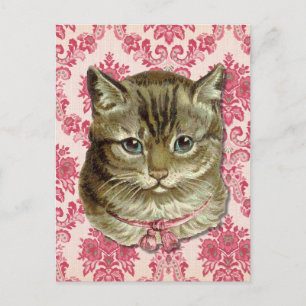 Tabby cat postcard