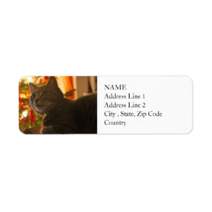 Tabby Cat Purr-fect Holiday Season