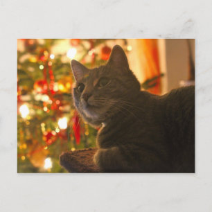 Tabby Cat Purr-fect Holiday Season Postcard