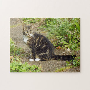 Tabby cat Puzzle