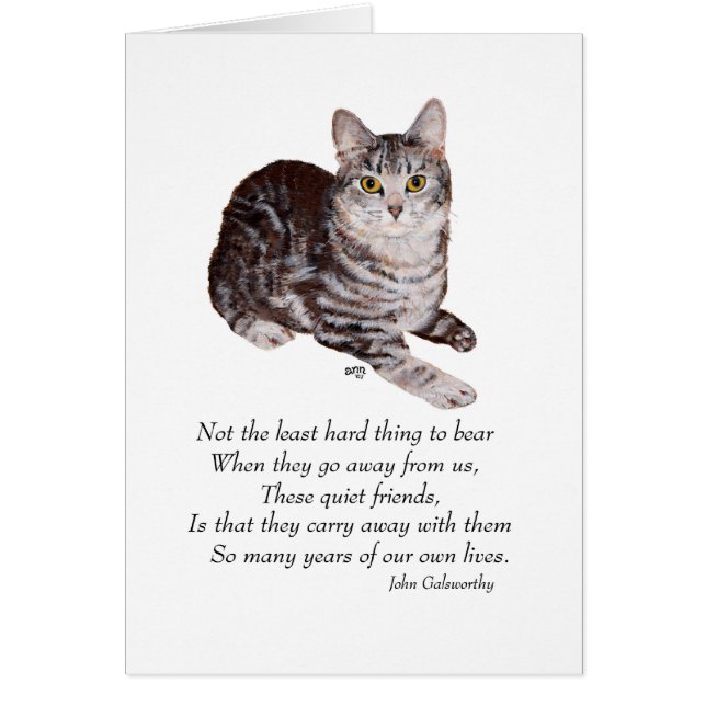 Tabby Cat Rainbow Bridge (Front)