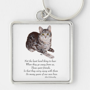 Tabby Cat Rainbow Bridge Key Ring
