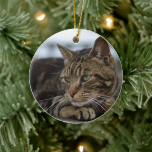 Tabby cat ready for action ceramic tree decoration