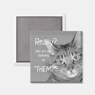 Tabby Cat, Really? Why are You Listening to Them? Magnet