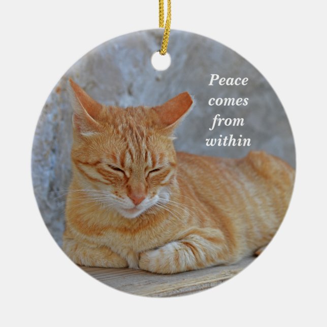 Tabby cat resting in Dubrovnik Inspirational Ceramic Tree Decoration (Front)