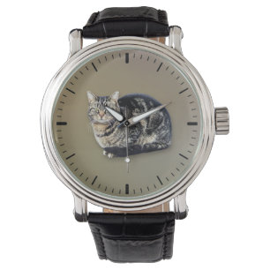 Tabby Cat Sitting Watch
