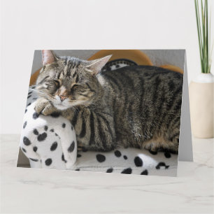 TABBY CAT SLEEPING BIRTHDAY GREETING CARD