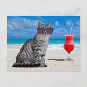 TABBY CAT SUNLASSES ON THE BEACH POSTCARDS