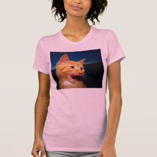 Tabby Cat T-shirt