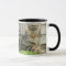 Tabby Cat