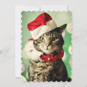 Tabby cat wearing a Christmas hat and collar Holiday Card