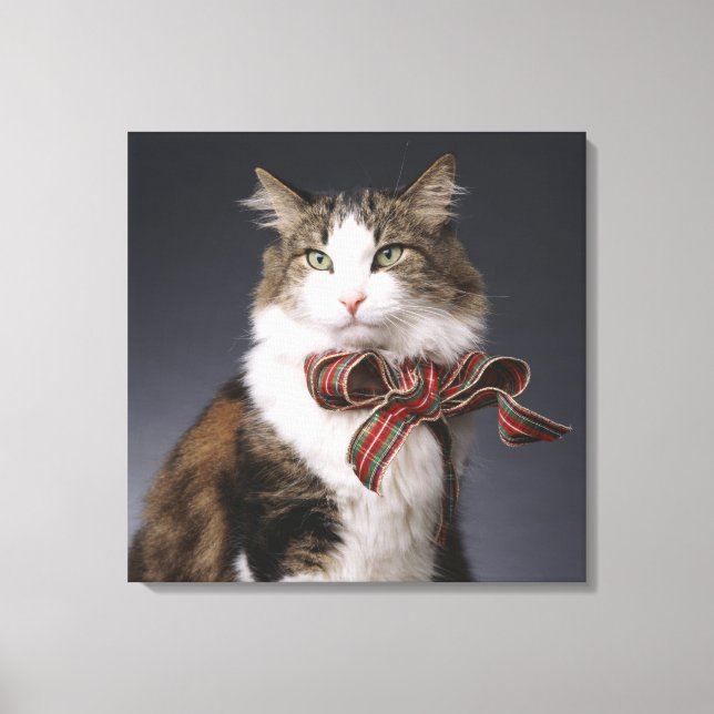 Tabby cat wearing plaid bow canvas print (Front)