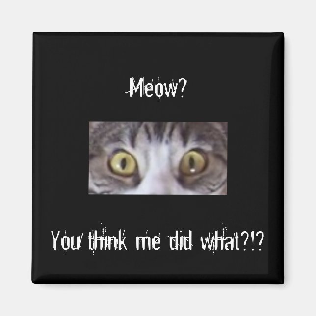 Tabby cat wide eyes magnet (Front)