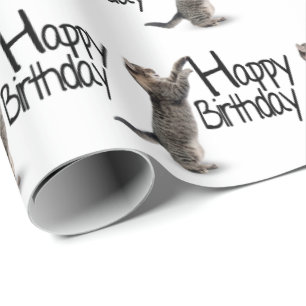 Tabby Cat with Birthday Text Wrapping Paper